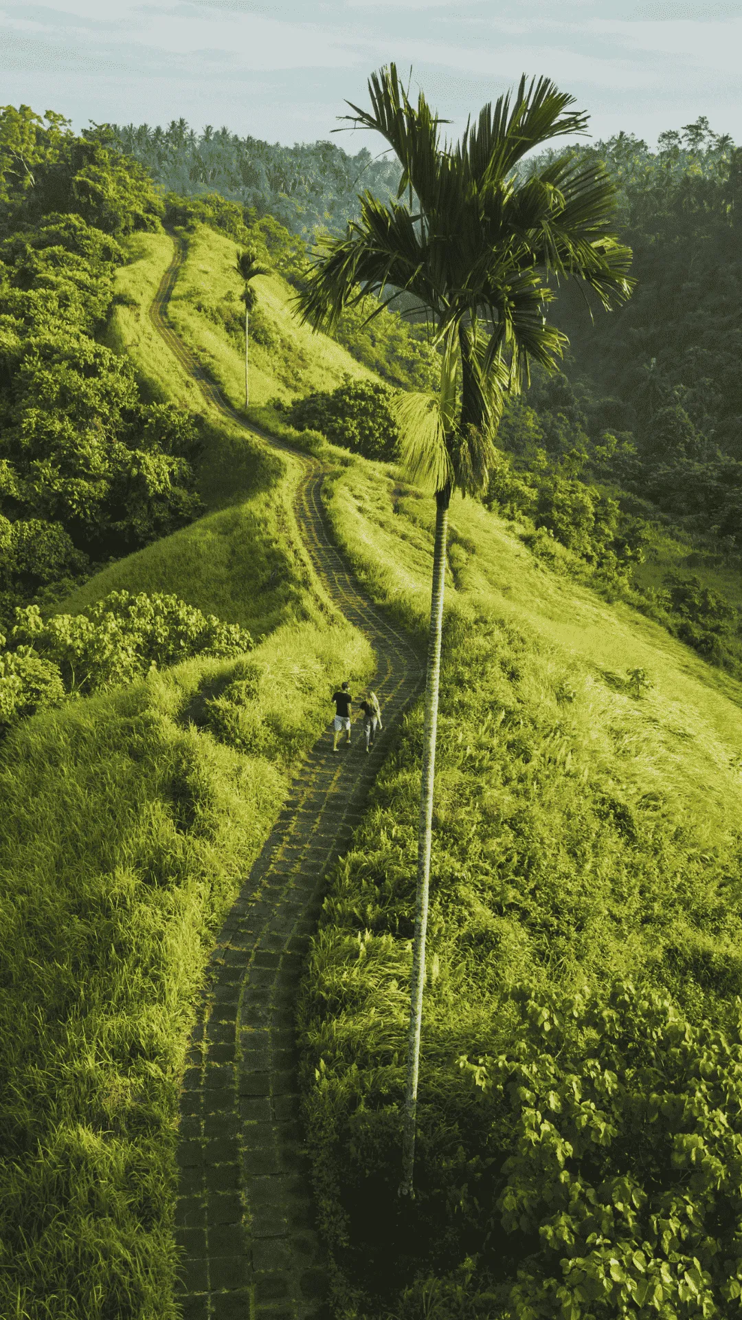 Explore Ubud & Central Bali with Semat Travel Semat Travel Destination - Ubud & Central Bali